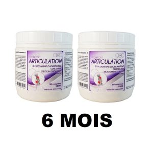 Pack 6 Mois confort articulation M3M 360 comprimés